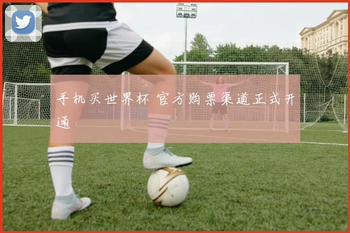 手机买世界杯 官方购票渠道正式开通
