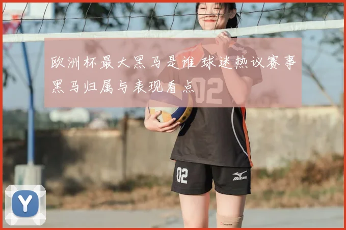 欧洲杯最大黑马是谁 球迷热议赛事黑马归属与表现看点