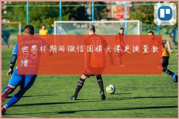 世界杯期间微信国旗头像更换量激增