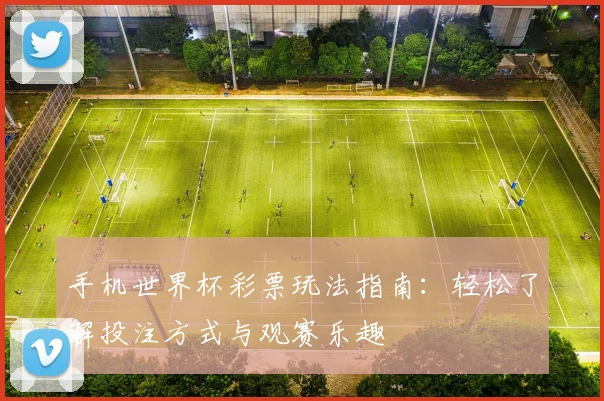 手机世界杯彩票玩法指南：轻松了解投注方式与观赛乐趣
