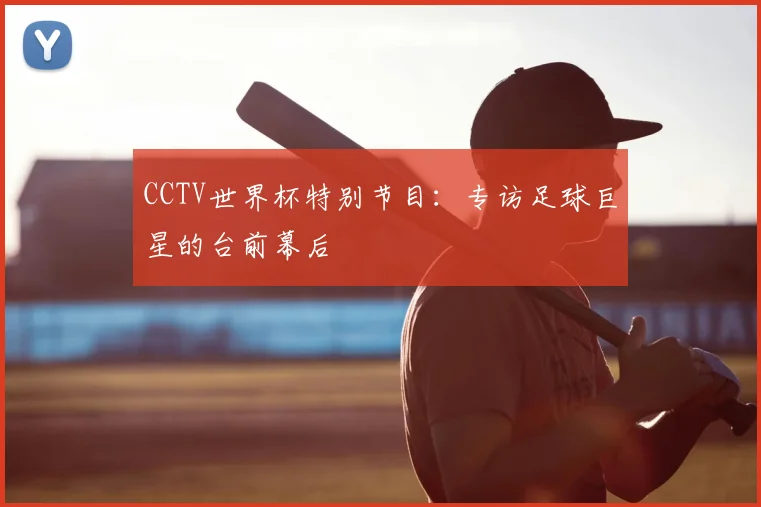 CCTV世界杯特别节目:专访足球巨星的台前幕后