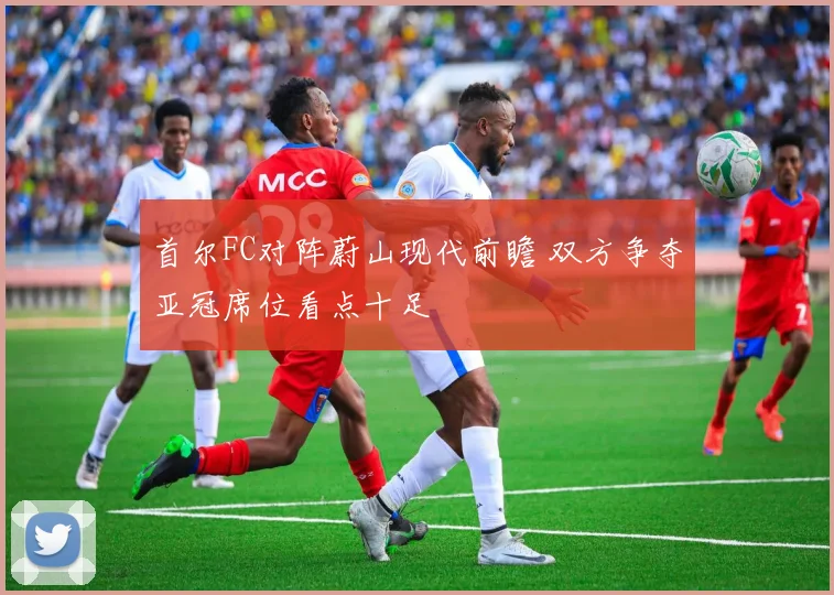 首尔FC对阵蔚山现代前瞻 双方争夺亚冠席位看点十足