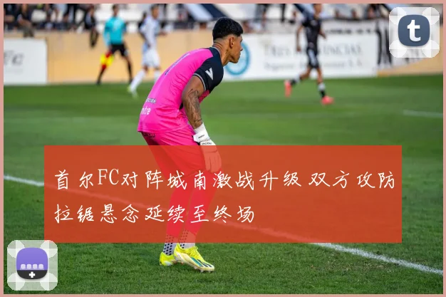 首尔FC对阵城南激战升级 双方攻防拉锯悬念延续至终场