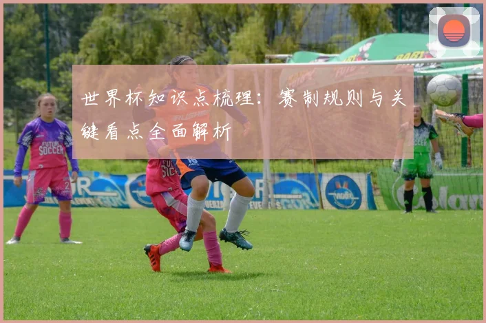 世界杯知识点梳理:赛制规则与关键看点全面解析