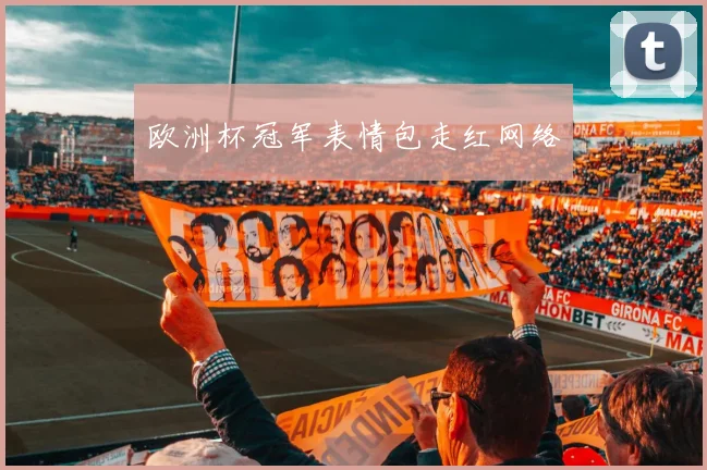 欧洲杯冠军表情包走红网络