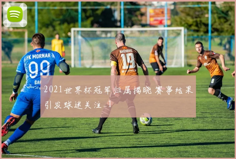 2021世界杯冠军归属揭晓 赛事结果引发球迷关注_1