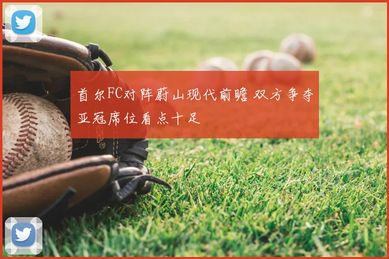 首尔FC对阵蔚山现代前瞻 双方争夺亚冠席位看点十足