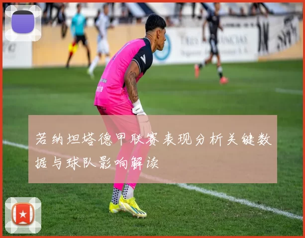 若纳坦塔德甲联赛表现分析关键数据与球队影响解读