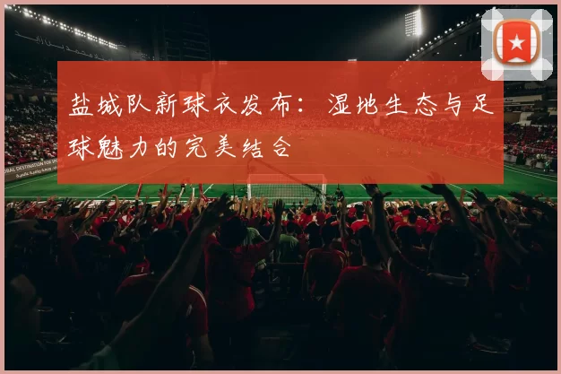 盐城队新球衣发布:湿地生态与足球魅力的完美结合