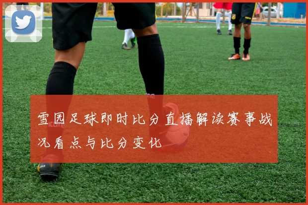 雪园足球即时比分直播解读赛事战况看点与比分变化