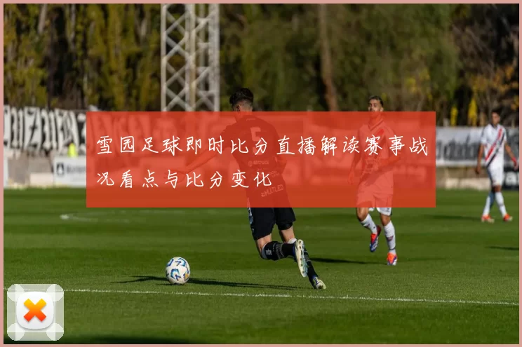 雪园足球即时比分直播解读赛事战况看点与比分变化