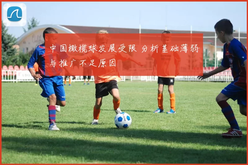 中国橄榄球发展受限 分析基础薄弱与推广不足原因