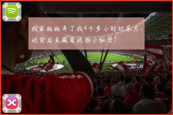 我家狗狗弄了我4个多小时的尿片，这背后竟藏着这些小秘密！