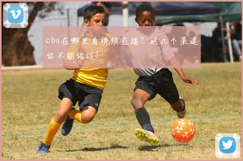cba在哪里看视频直播？这几个渠道你不能错过！