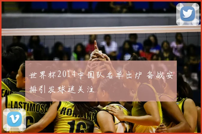 世界杯2014中国队名单出炉 备战安排引发球迷关注
