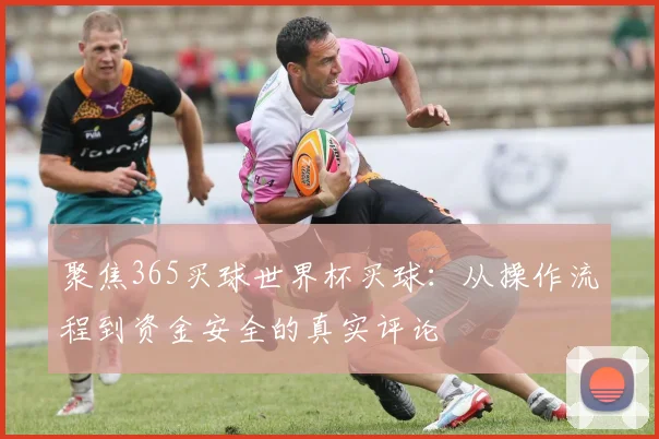 聚焦365买球世界杯买球:从操作流程到资金安全的真实评论